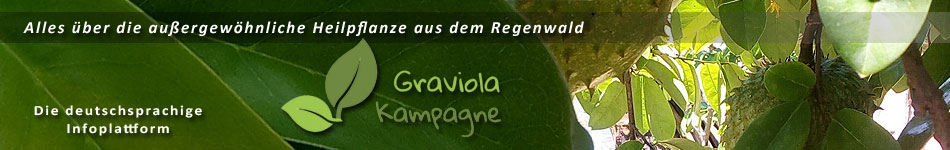 Graviola Kampagne - Alles über die tropische Heilpflanze